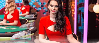 116bet8 116bet8
